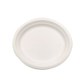 Hot Selling Biodegradable Disposable Sugarcane Food Plates